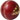 Cricket Referee Cricket